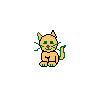 petit chat